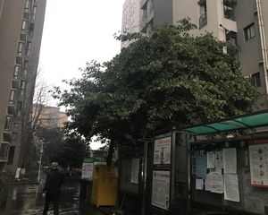 金沙兰亭 3室1厅 西北