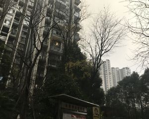 金沙鹭岛二期4室2厅南