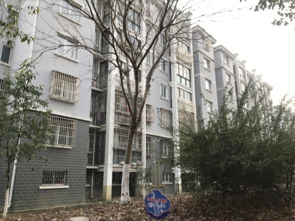 金康花苑实景图
