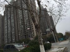 緑墅湾 前排精装拎包入住 中间层全天采光 正常首付