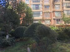 金色交响家园5室3厅东西