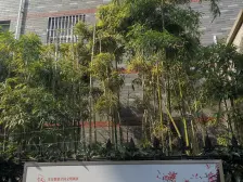 精装50w 4加1户型 中间楼层 南北通户型 闹中取静