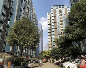 新园大道296号院 3室2厅 南