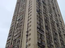 郁金香国际公寓 1室1厅 东