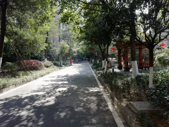 博雅新城A区实景图