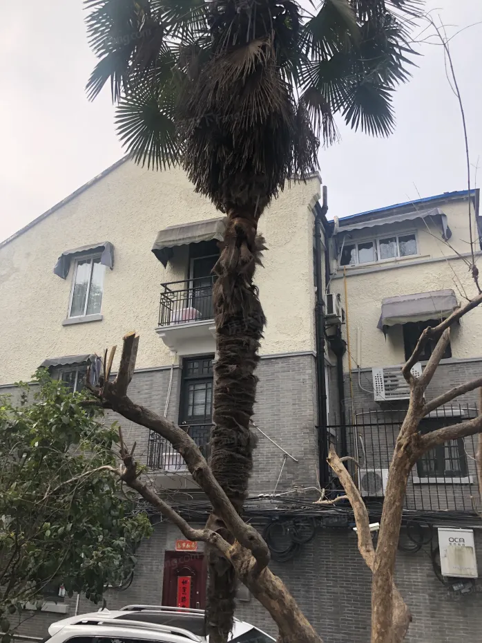 【上海古柏小区小区,二手房,租房】- 上海房天下