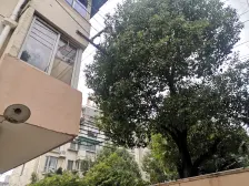 房型正气,满五。诚意出售