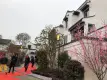 珠江·御麟大院实景图