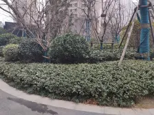 此新小区,人车分流,标准小三室,客厅带阳台