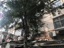 大三房,得房率高,户型方正,带院子