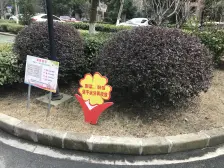 价格实惠,看中还可谈,采光好。