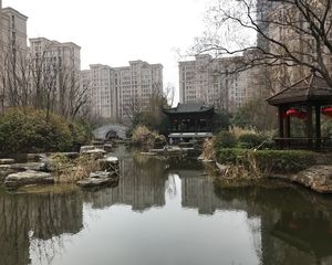 大溪地三房 飞机户型 全天采光 保养好拎包即住