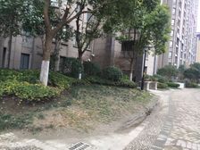 绿墅湾复式 楼上楼下两层 毛坯有储藏室 看房有钥匙