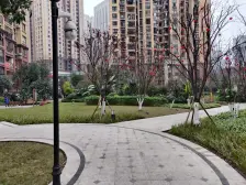 盘龙经典2房。装修佳。楼层视野良好。价格可谈