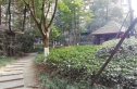 博雅新城A区实景图