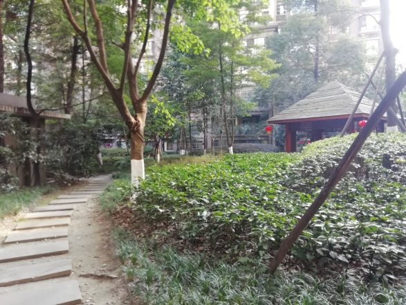 博雅新城A区实景图