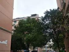 南北直通3房,必看房源,改善必看户型方正