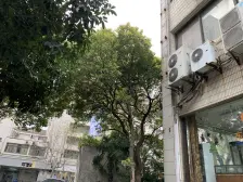 华电公寓 2室1厅 南