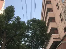 近地铁 现场实勘 无抵押 必看好房