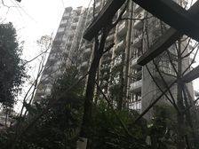 金沙鹭岛二期4室2厅东北