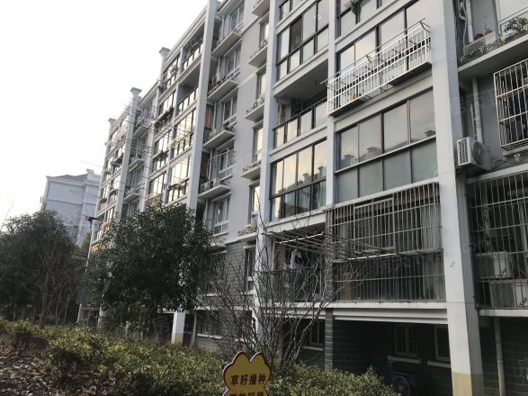 金康花苑实景图