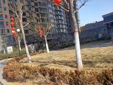 佳远水园湾 1室1厅 南