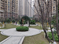 盘龙1楼跃层,麻将馆便利店,对中庭