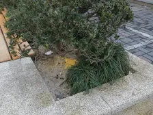 97年房龄+内环内+小区里面的位置