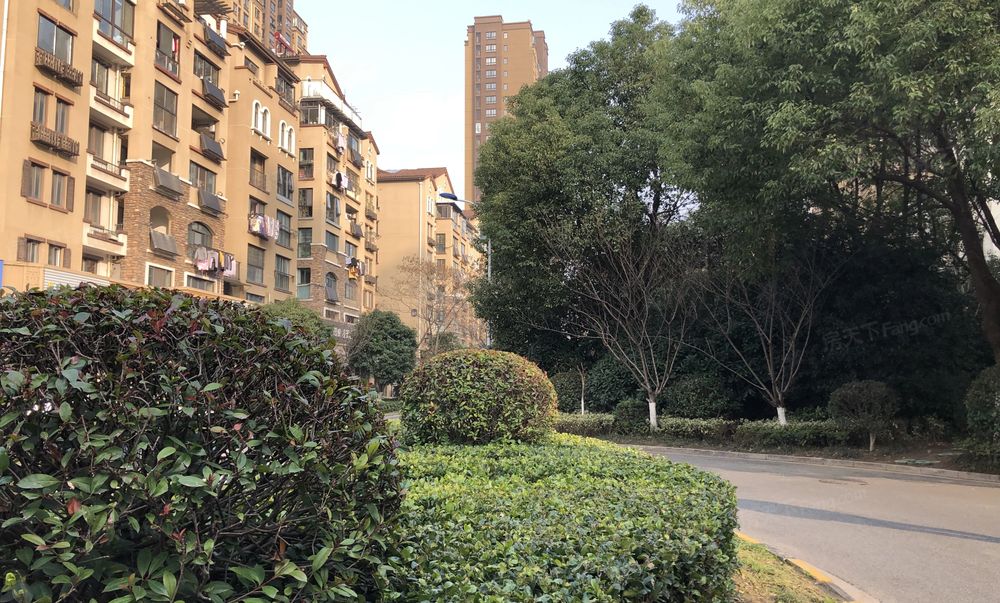 14平2居 南向精装修 着急出售 价格好谈,常州新北龙虎塘九洲花园二手