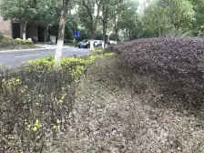 全明户型 双金山 近万达 大润发 盒马生鲜