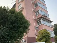 沪江新苑 3室2厅 南