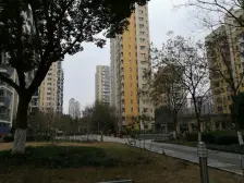 房子精装 11层小高层 中上楼层,采光棒 配套齐全