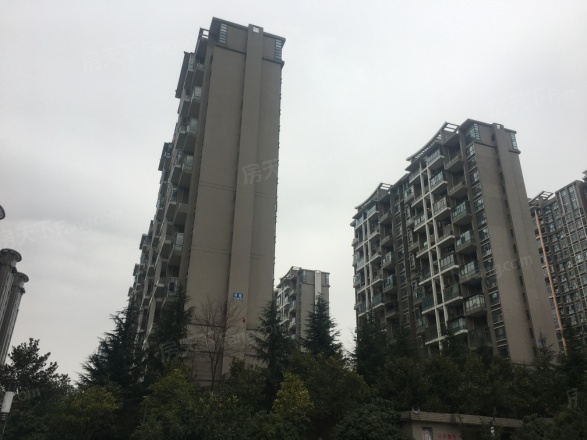 世纪城龙瑞苑实景图