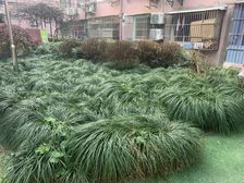 近地铁,精装,采光好,满五,新上房源