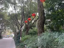 西边套南进门 只给我们卖 业主移民 价格可议