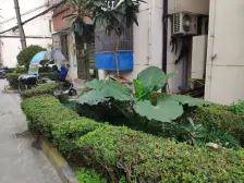 这套房子挂价蛮高的,但是底价很低很低,因为可以大刀砍,