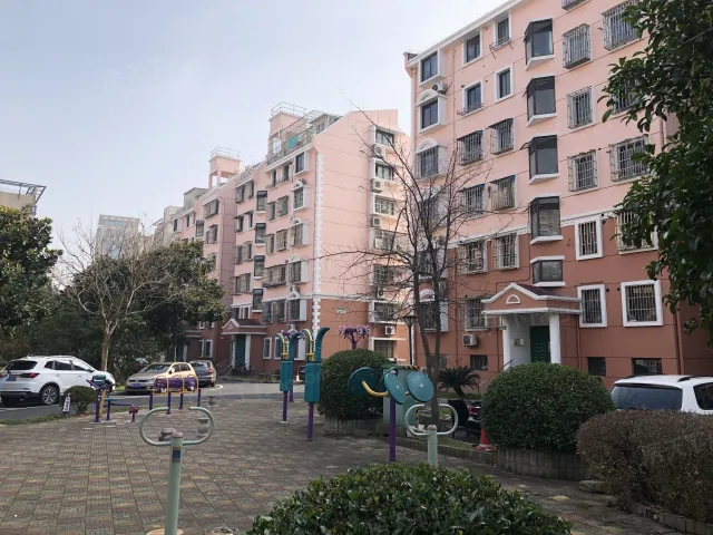 梅花路768弄小区实景图-楼盘外观