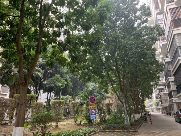 半岛融园实景图