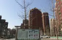 宝境檀香实景图
