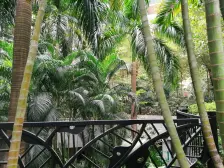 保利心语花园 高层三房 安静望花园泳池