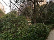 开元麓郡 2室1厅 南