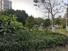 新景国际外滩 4室2厅 东 东南 西