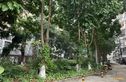半岛融园实景图
