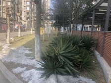 顶复 带露台 业主自住 看房方便