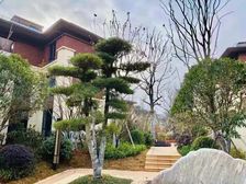 北大三期洋房,一梯两户,南北通透,产证满二,随时看