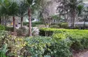 翠岭居实景图