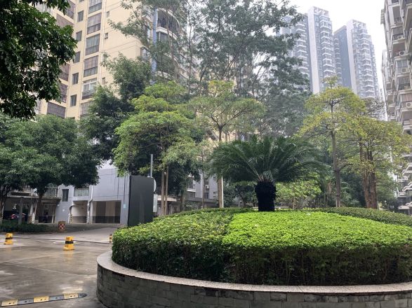 半岛融园实景图