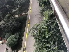 心巢小区 2室1厅 南 北