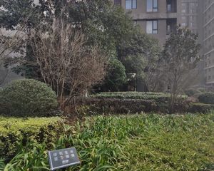 开福马上 精装大三房 万科品牌 视野开阔