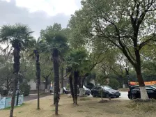 产权清晰,无抵押 采光好 必看好房